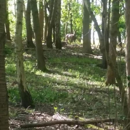Westhurst Park Bnb Bredon Luaran gambar