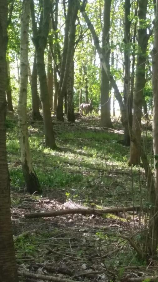 Westhurst Park Bnb Bredon Luaran gambar